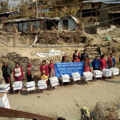 Bee keeping training